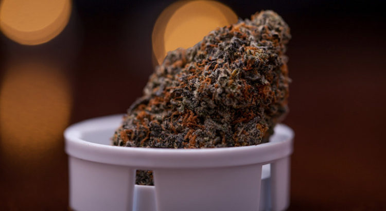 Cannabis médical en Allemagne