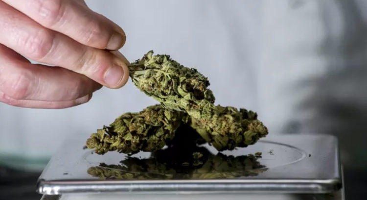 Cannabis médical en Italie