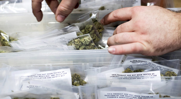Légalisation du cannabis et violences