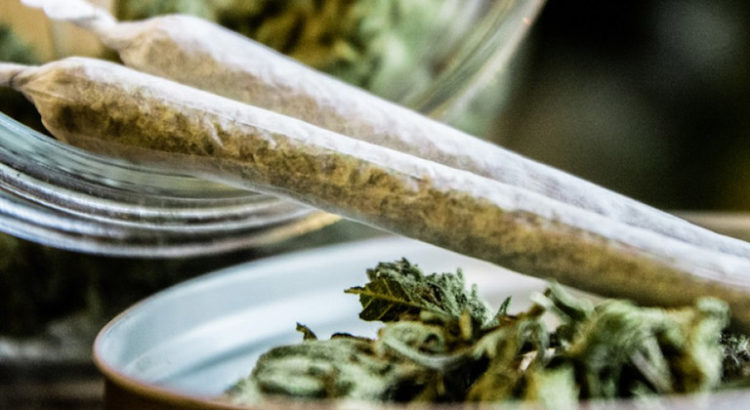 Pays qui ont légalisé le cannabis en 2017