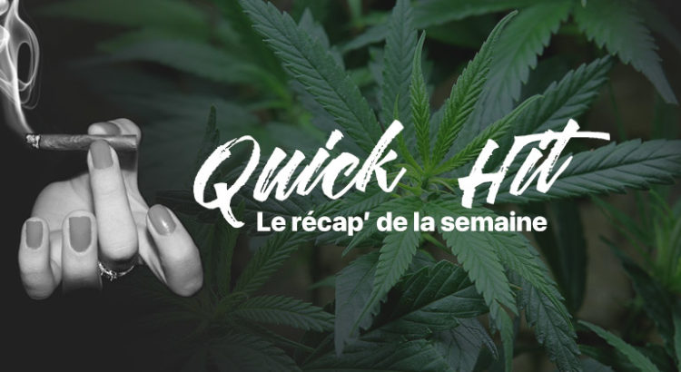 Quick hit actualités cannabis
