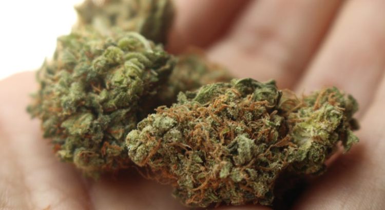 Cannabis médical en Roumanie