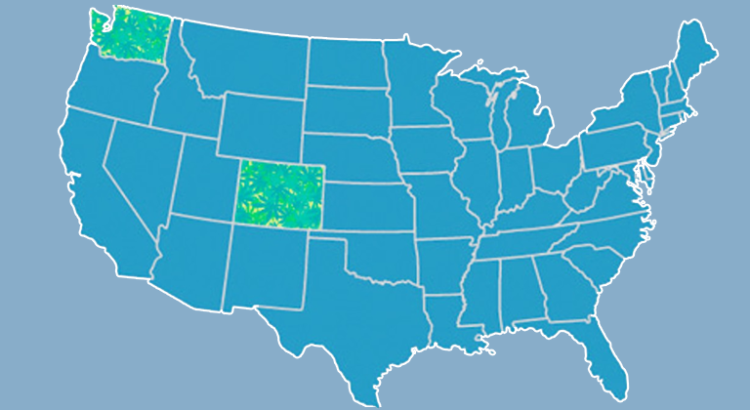Légalisation du cannabis au Colorado et Washington