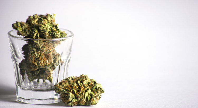 Effet du cannabis sur le cerveau