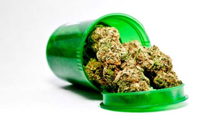 Effets thérapeutiques du cannabis