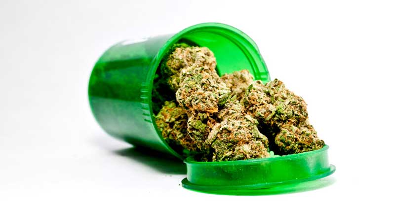 Effets thérapeutiques du cannabis
