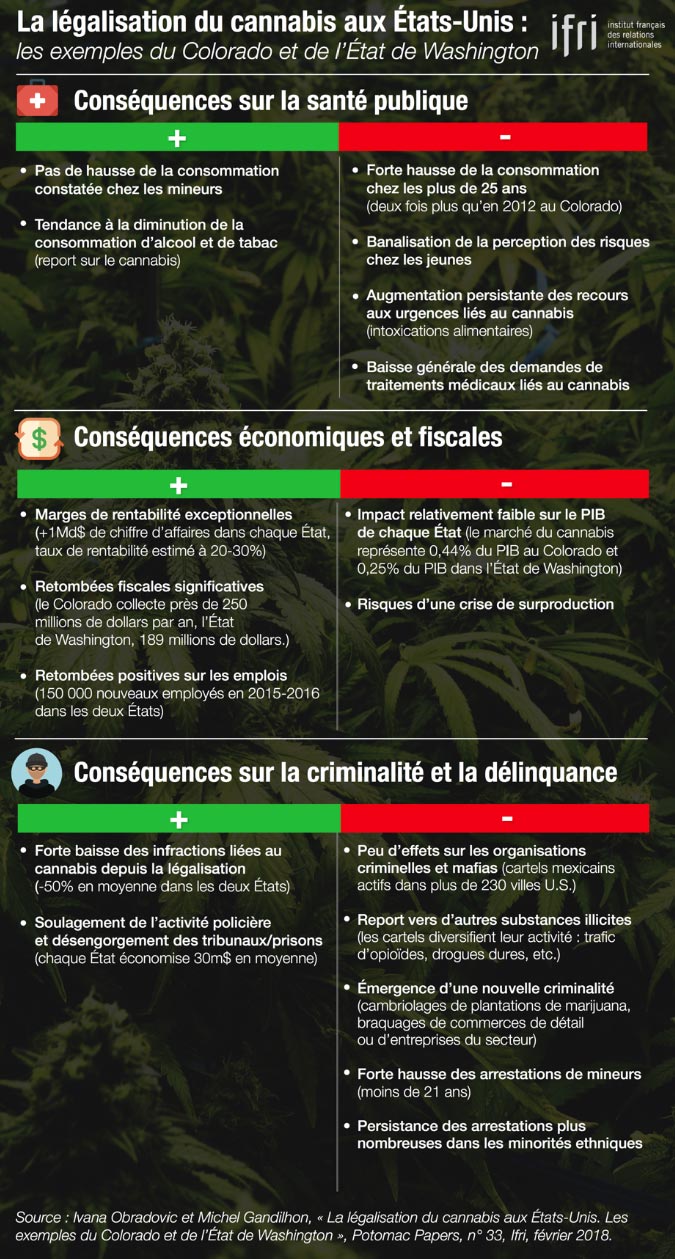 Infographie sur le cannabis