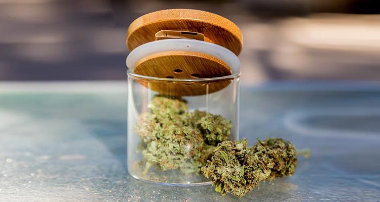 Cannabis et schizophrénie