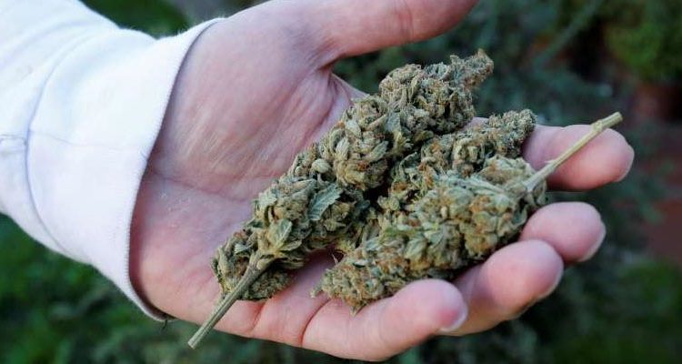 Cannabis au Nigéria