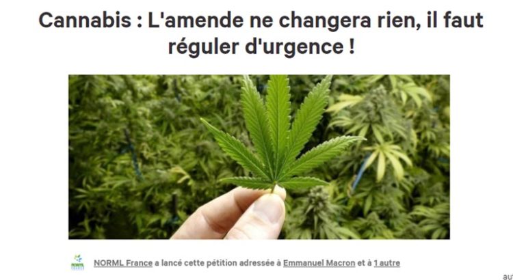 Pétition de NORML France sur le cannabis