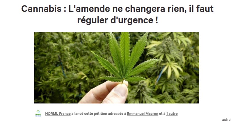 Pétition de NORML France sur le cannabis