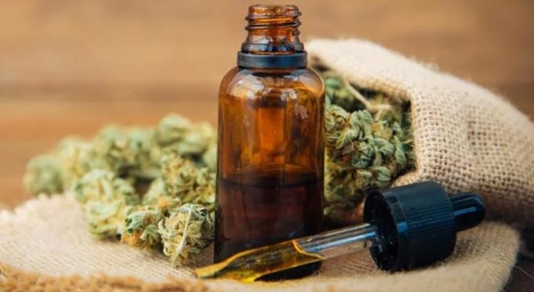 Régulation du CBD en France