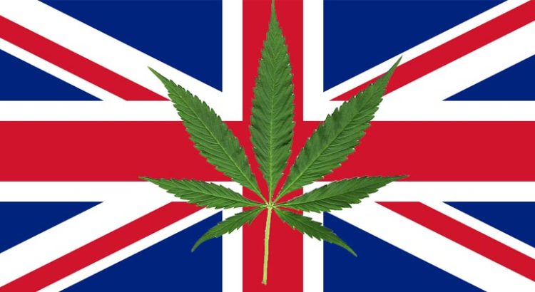 Royaume-Uni producteur de cannabis en Europe