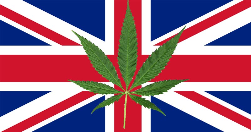 Royaume-Uni producteur de cannabis en Europe