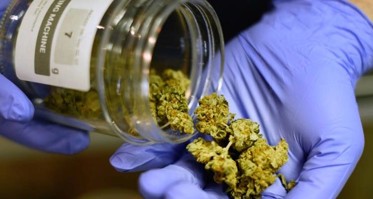 Cannabis et drogue dure