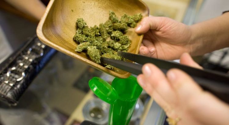 Cannabis et soda