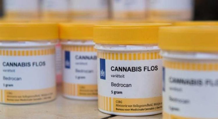 Demande en cannabis médical en Allemagne