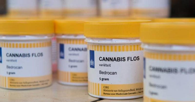 Demande en cannabis médical en Allemagne