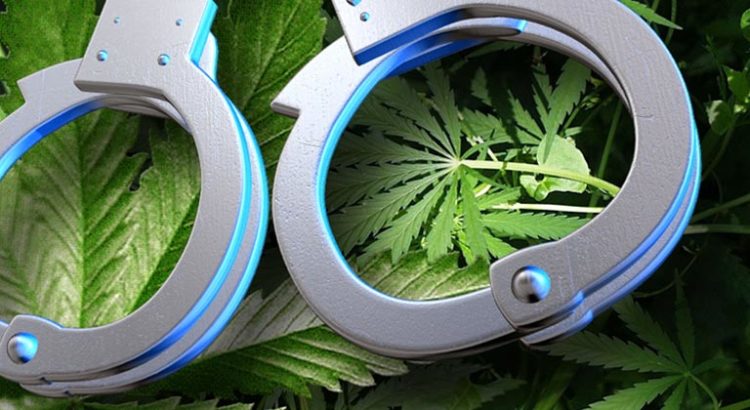 Arrestations cannabis à New York