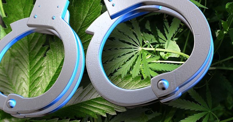 Arrestations cannabis à New York