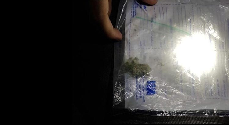 Saisie minuscule de cannabis