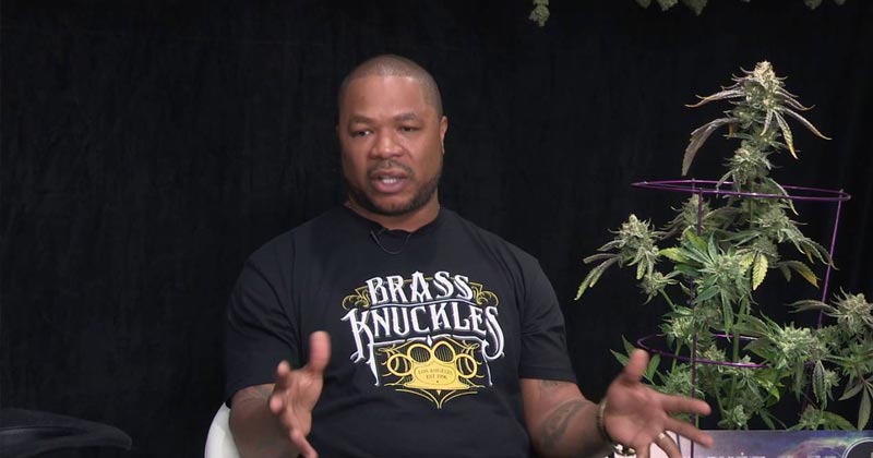 Xzibit promeut du THC aux pesticides