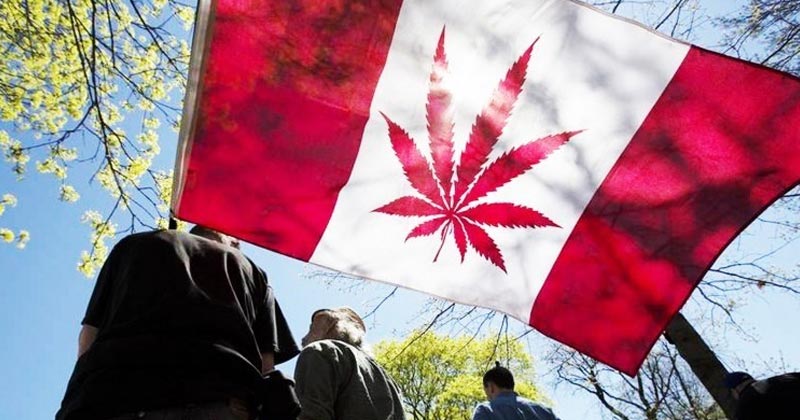 Le Sénat vote la légalisation du cannabis au Canada