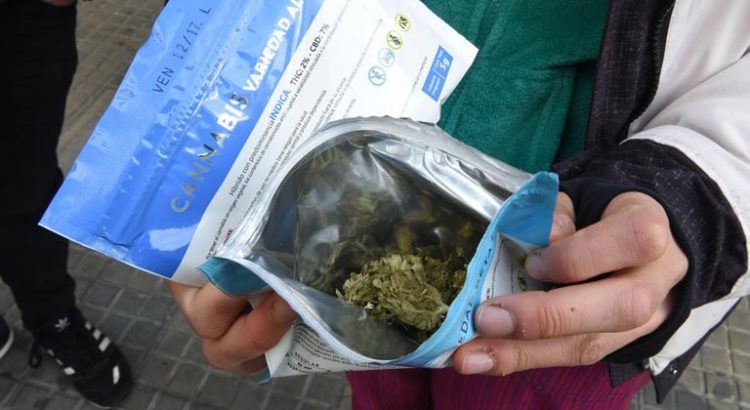 Demande de cannabis en Uruguay
