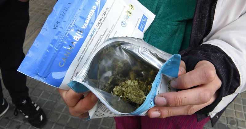 Demande de cannabis en Uruguay