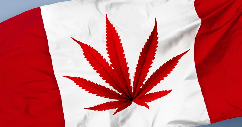 Légalisation du cannabis au Canada