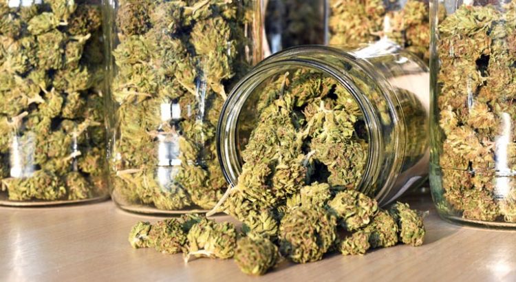 MILDECA va contrôler les magasins de cannabis