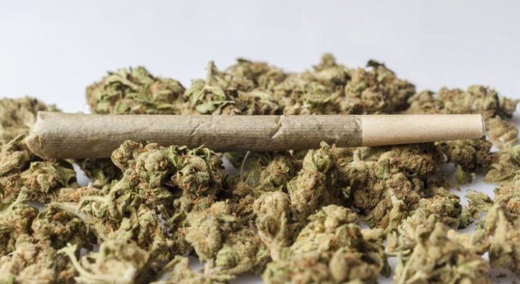 Nombre de consommateurs de cannabis dans le monde