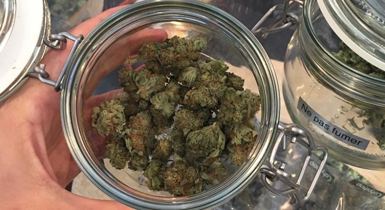 Cannabis à Paris 11ème