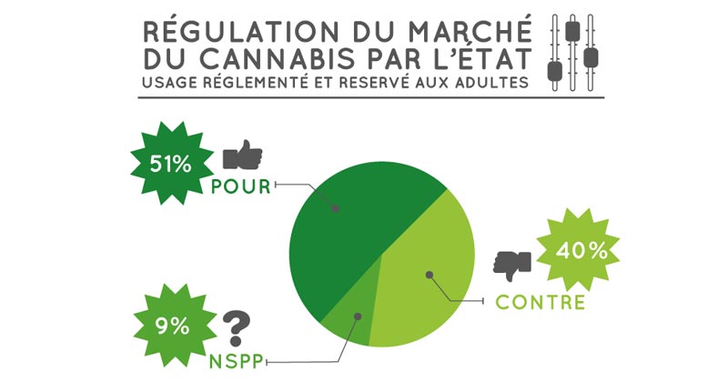 Sondage sur le cannabis en France