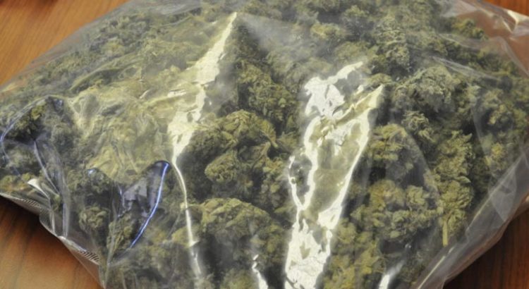 Syndicat police propose la légalisation du cannabis