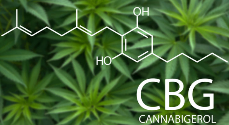 Cannabigerol (CBG)