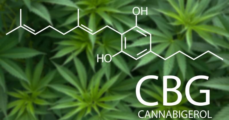 Cannabigerol (CBG)