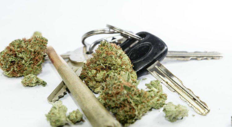 Californie cannabis conduite