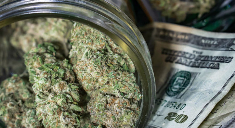 cannabis profit canada