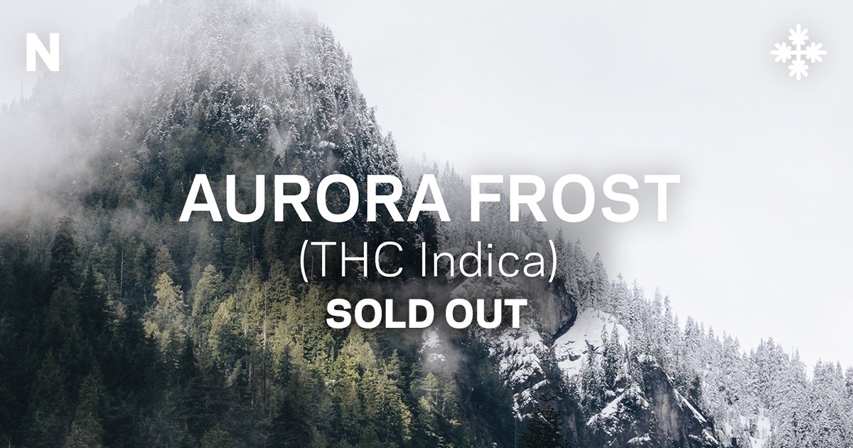 aurora frost