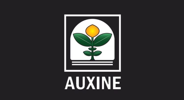 Procès Auxine