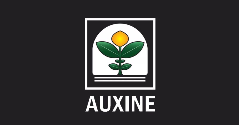 Procès Auxine