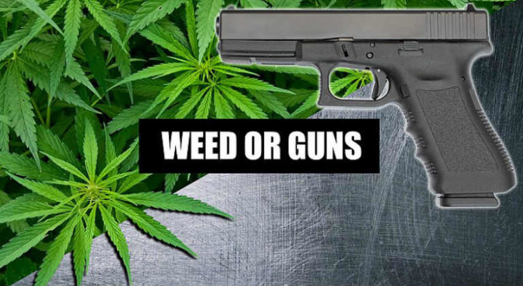 cannabis arme