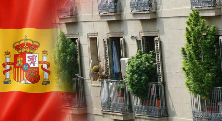 cannabis espagne