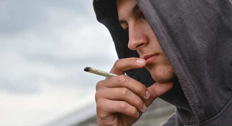 cannabis jeune