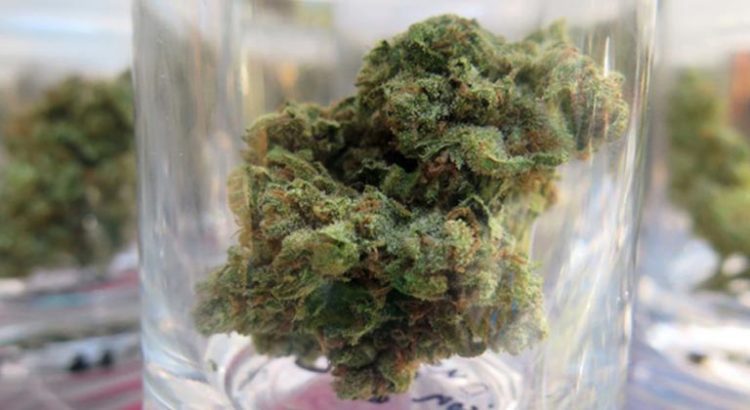 Cannabis light en Belgique
