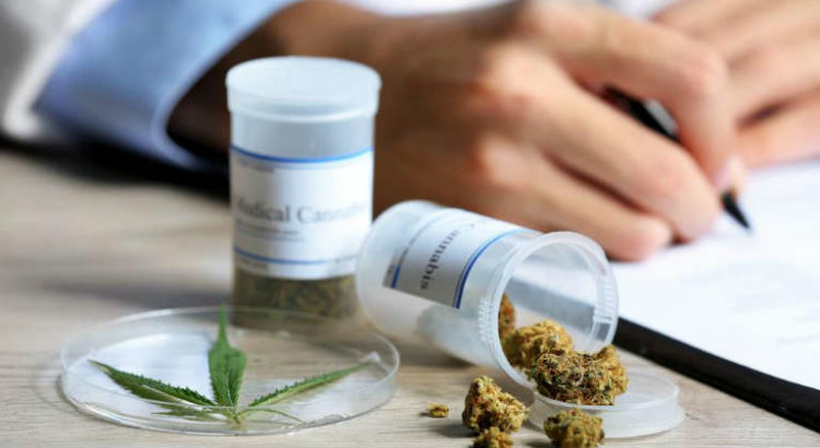 cannabis medical en france
