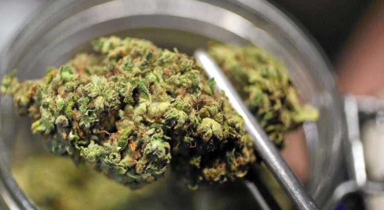 Cannabis médical en Italie pour les douleurs