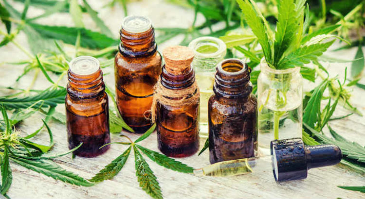 cannabis médical