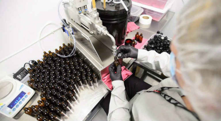 cannabis science